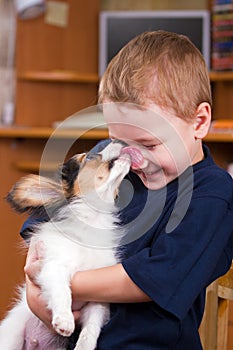 Puppy licking childs face