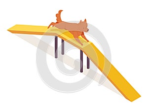 Puppy running over dog walk rump agility equipment. Isometric orange pet character happy and drawn active and lovely