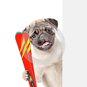 Puppy with skis peeking from behind empty board. isolated on white background