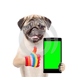 Puppy with smartphone showing thumbs up. Isolated on white background