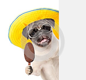 Puppy in sunglasses holding popsicle and peeking from behind empty board. isolated on white background