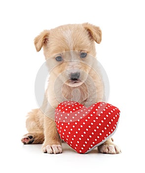 Puppy with toy heart
