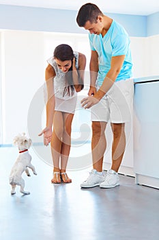 Puppy tricks. Happy couple with a dog in the kitchen.