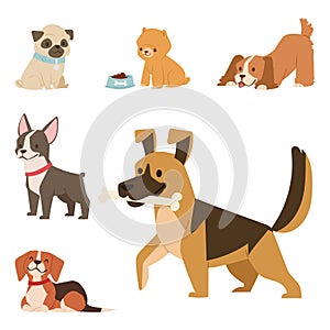 Puppy cute playing dogs characters funny purebred comic happy mammal doggy breed vector illustration. photo