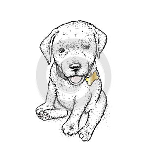 Puppy. Vector illustration for a postcard or a poster, print for clothes. Cute dog. Labrador.