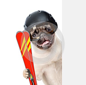 Puppy wearing a helmet holding skis peeking from behind empty board. isolated on white background