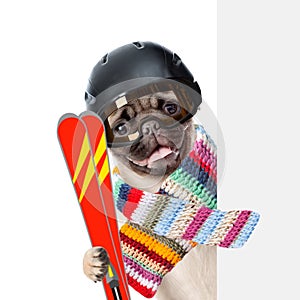 Puppy wearing a helmet and scarf holding skis peeking from behind empty board. isolated on white background