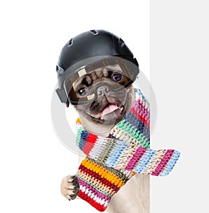 Puppy wearing a helmet and scarf peeking from behind empty board. isolated on white background