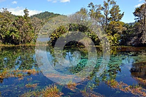 PuPu Springs Near Takaka in Golden Bay, New Zealand.