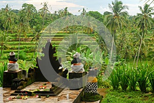 Bali temple in the nature photo