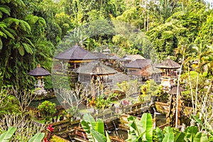 Pura Tirta Empul (water temple