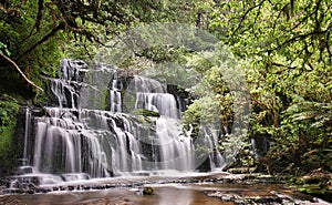 Purakaunui Falls (Catlins Forest Park, New Zealand) photo