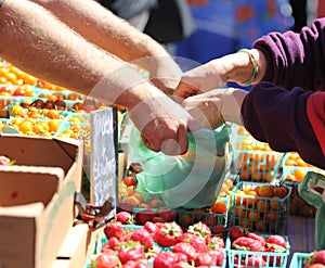 Purchasing produce.