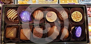 Purdys gift box