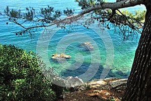 Pure blue green sea shore