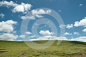 Pure blue sky with write clouds over a meadow