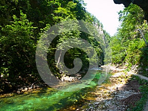 Pure blue water of Radovna river in Vintgar Gorge. Natural waterfalls, pools and rapids and tourist path. Slovenia