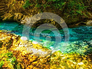 Pure blue water of Radovna river in Vintgar Gorge. Natural waterfalls, pools and rapids and tourist wooden path