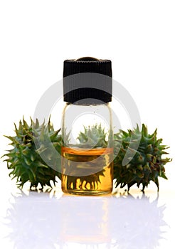 Pure castor oil