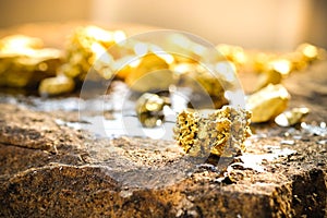 The pure gold ore found in the mine photo