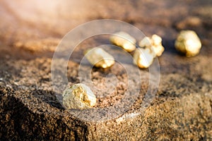 The pure gold ore found in the mine