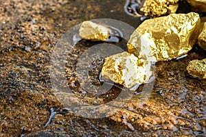 pure gold ore found in the mine photo