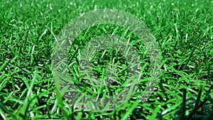 Pure green artificial turf grass