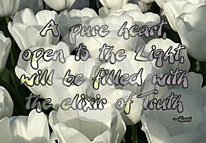 A pure heart, open to the Light, will be filled with the elixir of Truth