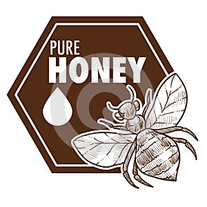 Pure honey poster with bee monochrome sketch outline