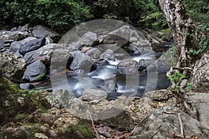 Pure nature at Pa La-U Waterfall in Kaeng Krachan National Park,Hua Hin,Prachuap Khiri Khan province,Thailand. photo