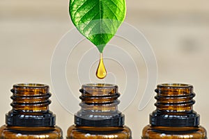 Pure and organic essential oil dripping from a green plant into a dark amber bottle