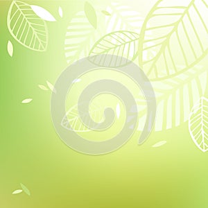 Pure spring background