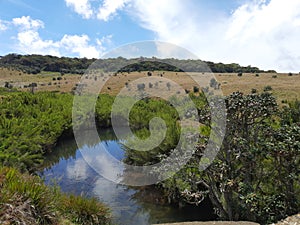 Pure water resource in horton plains