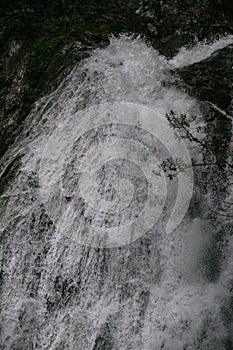 Pure water source, waterfall in the middle of the jungle