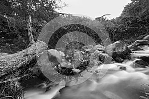 Pure water stream flowing over rocky mountain terrain in the Kakopetria forest,  Troodos, Cyprus