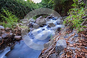 Pure water stream flowing over rocky mountain terrain in the Kakopetria forest,  Troodos, Cyprus