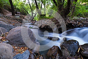 Pure water stream with smooth flow over rocky mountain terrain in the Kakopetria forest in Troodos, Cyprus