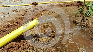 Pure watering in a rural area Morocco