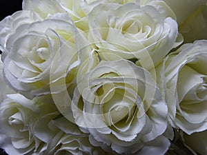 Pure wedding white roses background