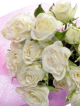 Pure white bouquet of roses on a white background and space for text