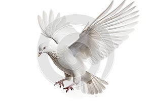 A pure white dove in flight with a wingspan isolated on a white background. Peace bird. Generative AI