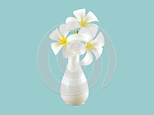 pure white frangipani plumeria or leelawadee bouquet in minimalism pottery vase isolated on blue background