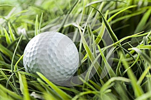 Pure White Golfball on green grass