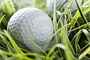 Pure White Golfball on green grass