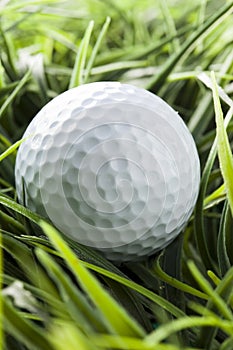 Pure White Golfball on green grass