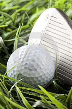 Pure White Golfball on green grass