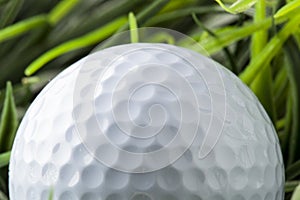 Pure White Golfball on green grass