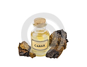 Pure wild natural chaga  Inonotus obliquus mushroom pieces and filtered mushroom mixture in bottle isolated on white background.