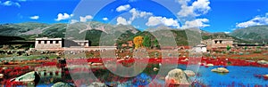 Pure world in Tibet