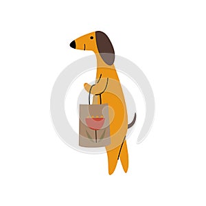 Purebred Brown Dachshund Dog with Shopping Bag, Funny Playful Pet Animal Cartoon Character Vector Illustration
